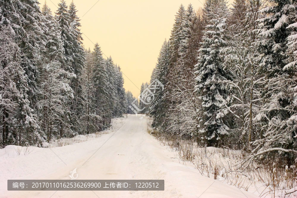 冬季道路