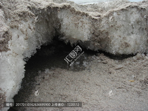 雪003-匯圖網(wǎng) www.fosd68.com 雪003