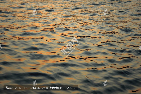 水中的倒影
