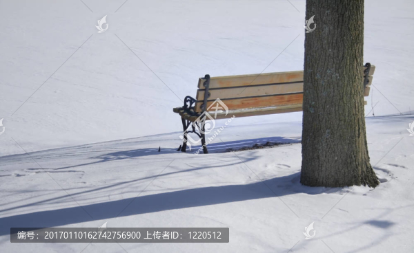 冬景