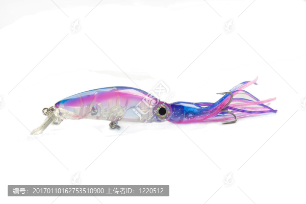 該魷魚
