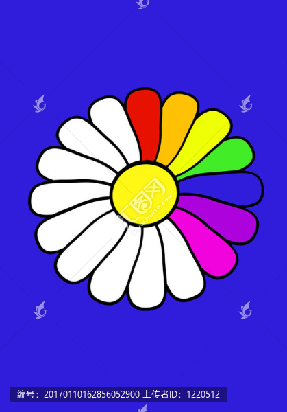 彩虹菊
