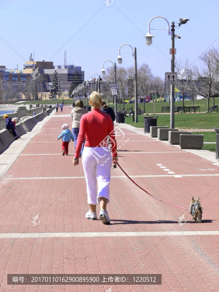 夫人與狗60810-匯圖網(wǎng) www.fosd68.com 夫人與狗60810