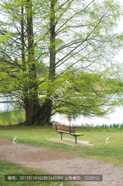 公園的長(zhǎng)椅上-匯圖網(wǎng) www.fosd68.com 公園的長(zhǎng)椅上