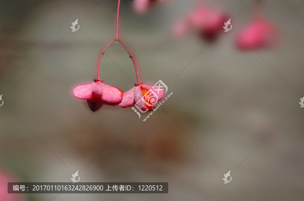 突破