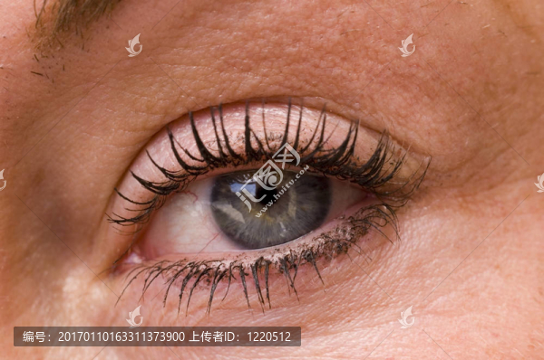 女人的眼睛特寫