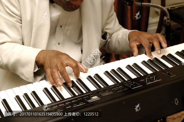 音樂家的手演奏我