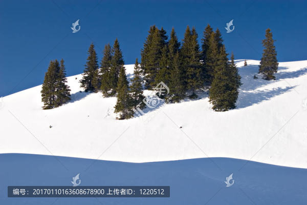 冬景