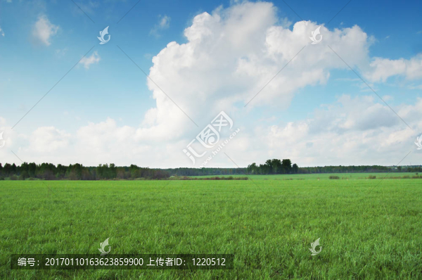 春天的田野-匯圖網(wǎng) www.fosd68.com 春天的田野