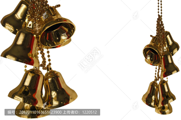 金鈴簇