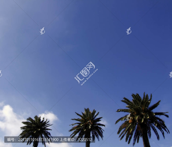 三掌