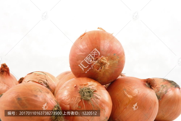 洋蔥