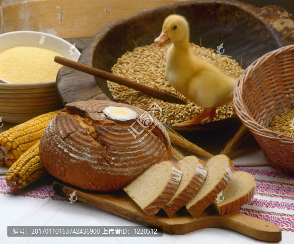 breadandduck