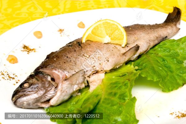 虹鱒魚
