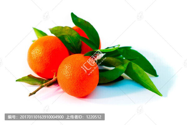 一堆Tangerine夜店的分支