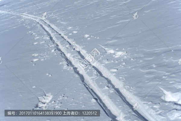 雪地里的滑雪道