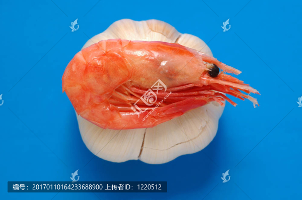 蝦和蒜