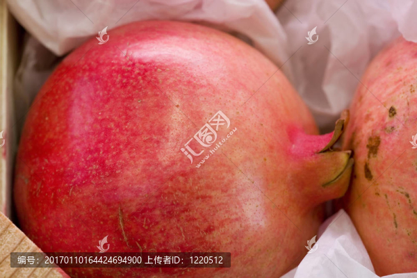 石榴-匯圖網(wǎng) www.fosd68.com 石榴