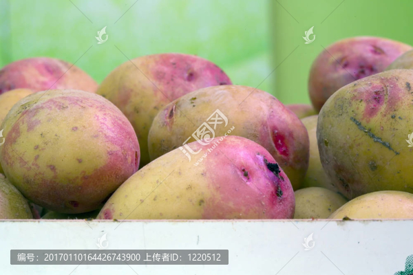 土豆盒