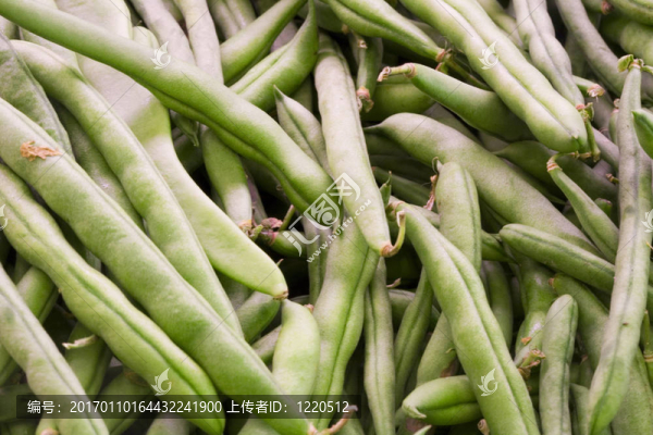 青豆