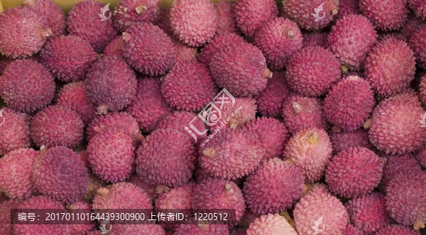 荔枝盒