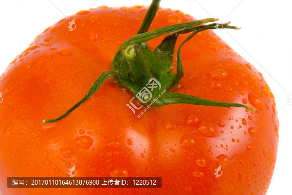 水滴番茄