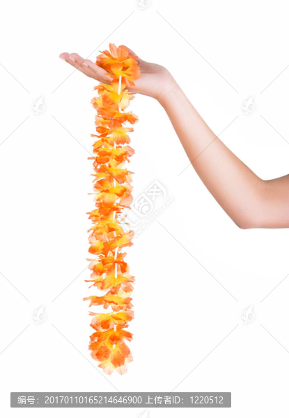 夏威夷項鏈