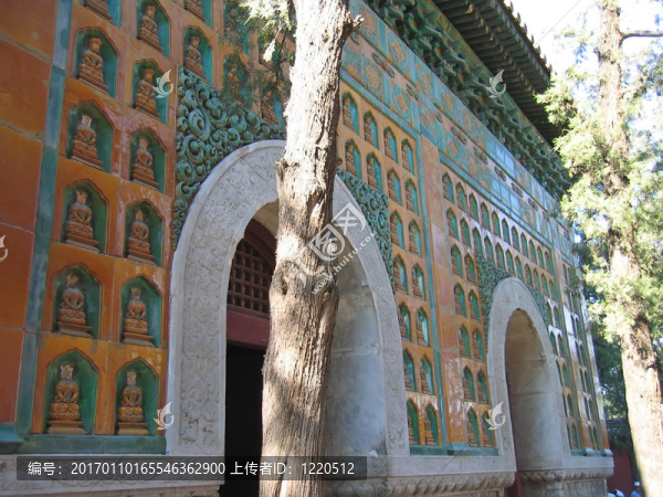 一個樹皇寺的細節(jié)；頤和園；北京；中國