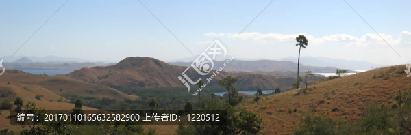 大的Rinca島和山觀；科摩多群島；印度尼西亞；全景