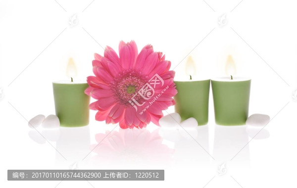 Ping,Gerbera和芳香蠟燭