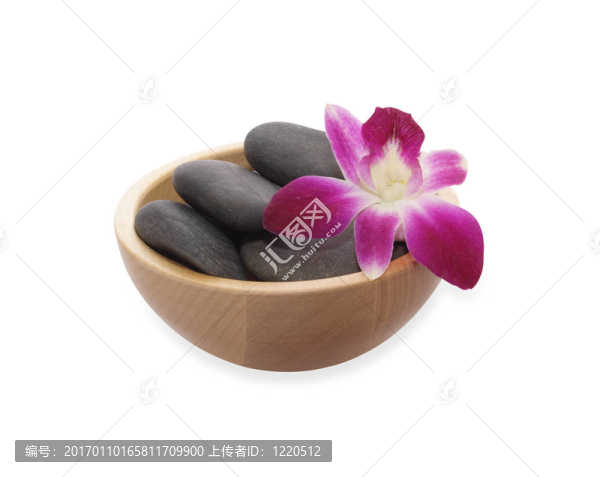 蘭花和卵石在碗里-匯圖網(wǎng) www.fosd68.com 蘭花和卵石在碗里