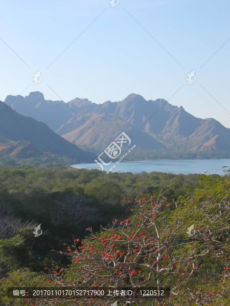 從Rinca島觀海灣和山脈；科摩多群島；印度尼西亞
