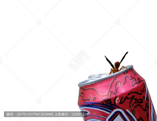 紅蜂特殊