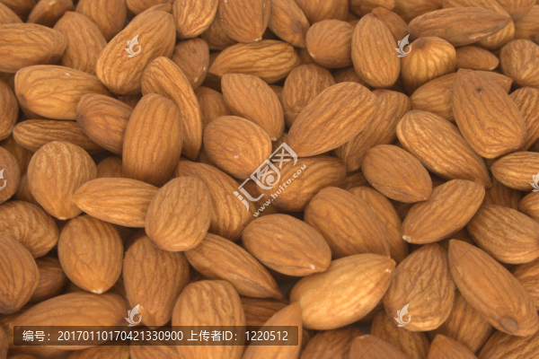 很多杏仁-匯圖網(wǎng) www.fosd68.com 很多杏仁