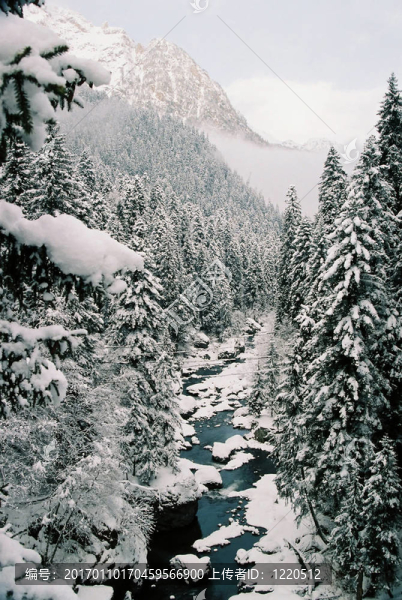 Dombai.Winter。