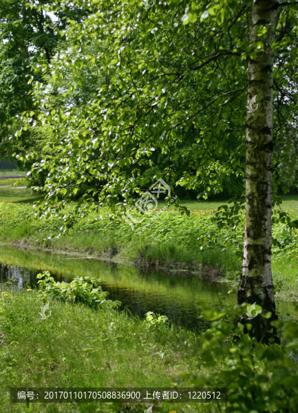 俄羅斯自然-匯圖網(wǎng) www.fosd68.com 俄羅斯自然