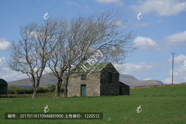 愛(ài)爾蘭的場(chǎng)景