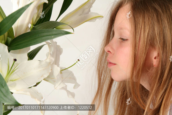 女孩和百合花