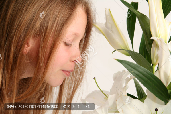 女孩和百合花