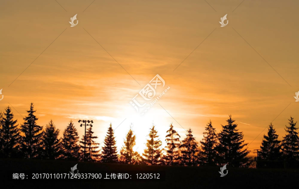 太陽集