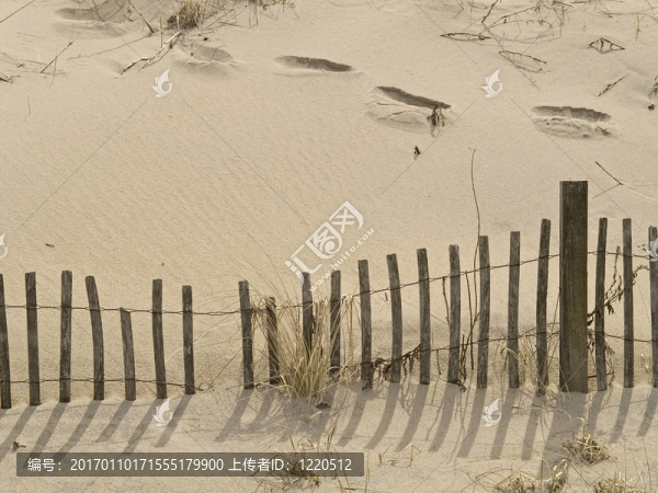 籬笆上的沙丘