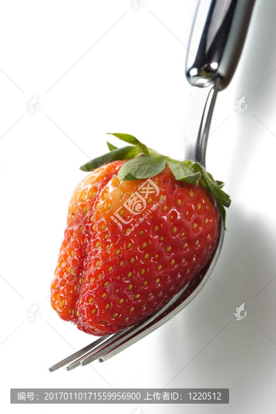 Strawberry的誘惑