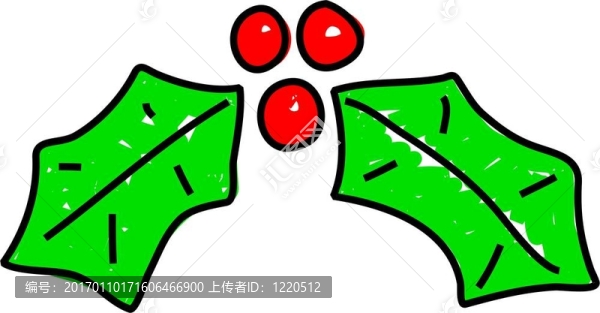 霍莉
