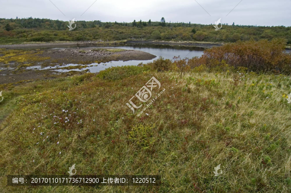 第十八生態(tài)步道區(qū)；島夫人；新斯科舍；加拿大