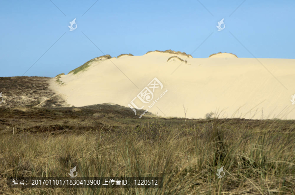 敘爾特島dunescape,10