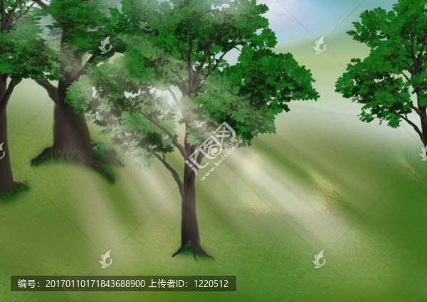 早晨的小樹(shù)林