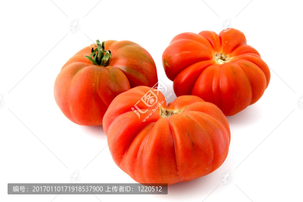 西紅柿成熟的老虎