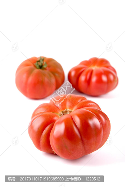 西紅柿成熟的老虎