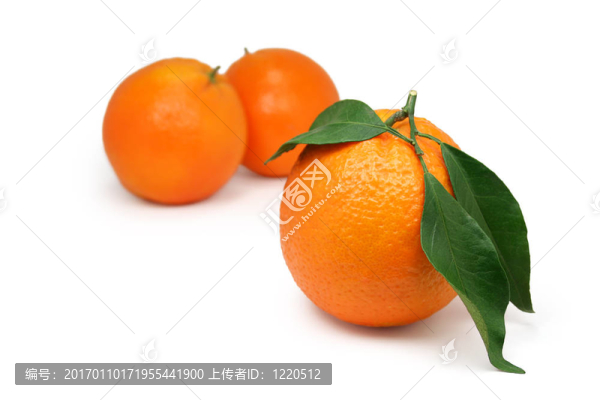 橘子葉