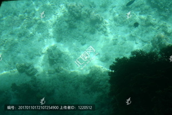 在海